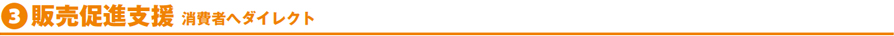 販売促進支援 消費者へダイレクト